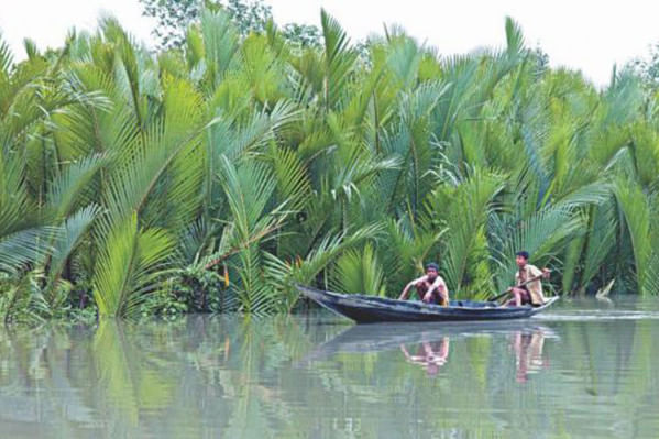 protecting sundarbans 