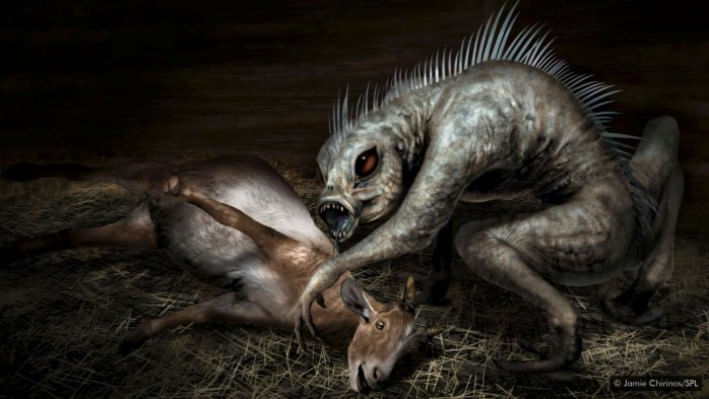 রহস্যময় রক্তচোষা চুপাকাবরার নাম এসেছে ছাগল থেকে। ছবি: জেমি কিরিনোস/ এসপিএল 