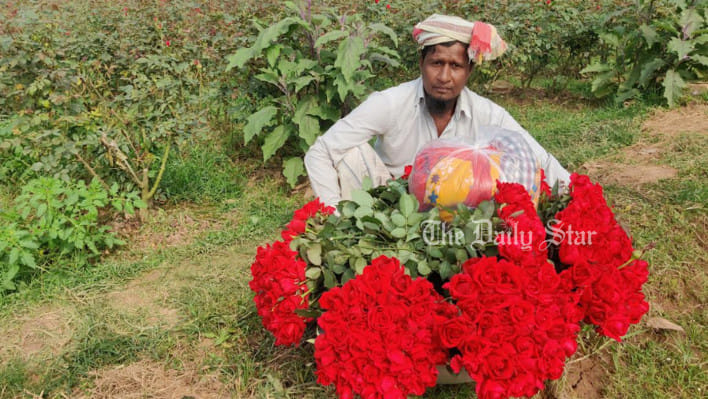 গোলাপগ্রাম, সাভার, গোলাপ,