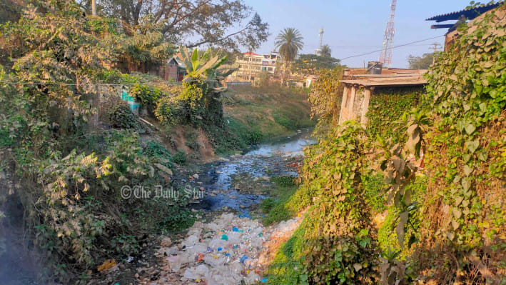 নদী দূষণ