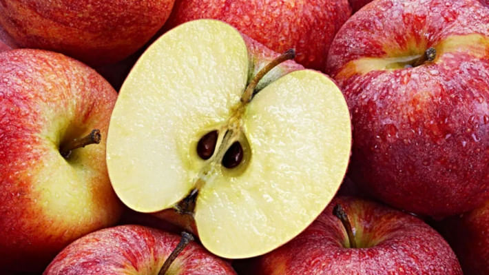আপেল বীজ কি শরীরে বিষক্রিয়া ঘটাতে পারে 
