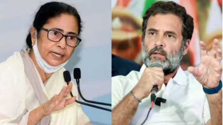 মমতা বন্দ্যোপাধ্যায় ও রাহুল গান্ধী। ছবি: সংগৃহীত