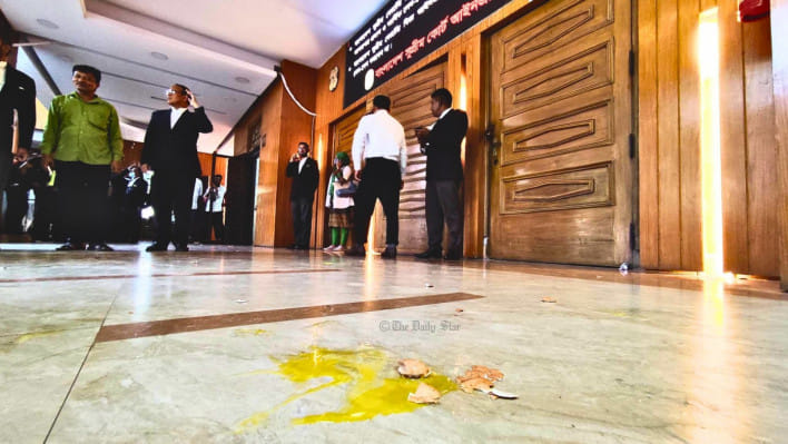 ডিম ছোড়াছুড়ি