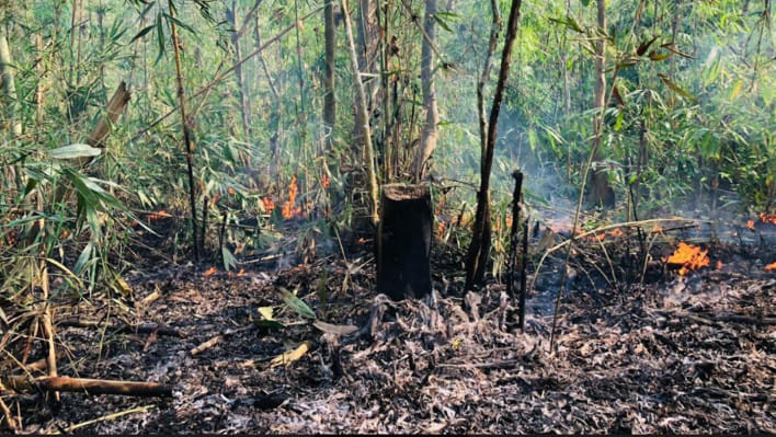 মৌলভীবাজার, কুরমা বন, বন বিভাগ, সিলেট,