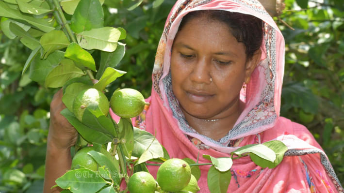 রেশমা কৃষি উদ্যোগ