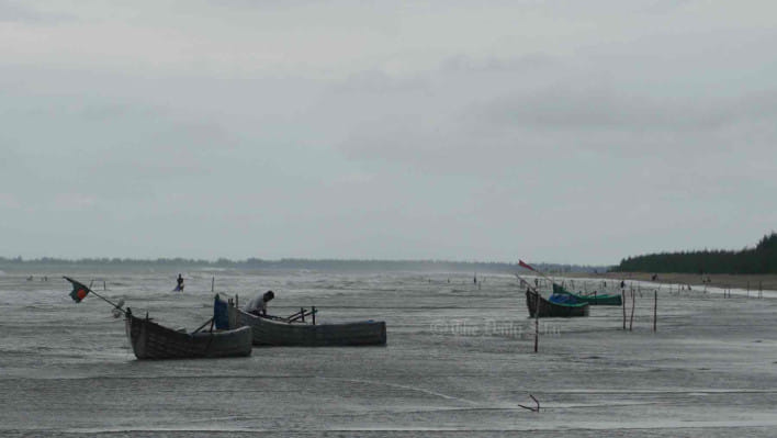 চিংড়ির পোনা