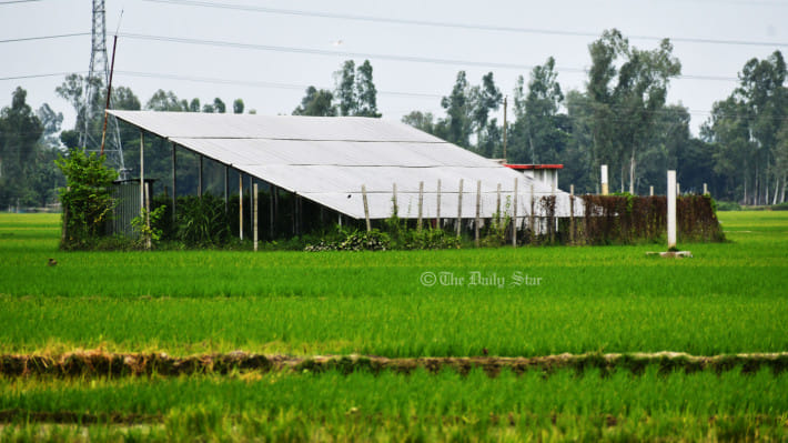 সোলার পাম্প