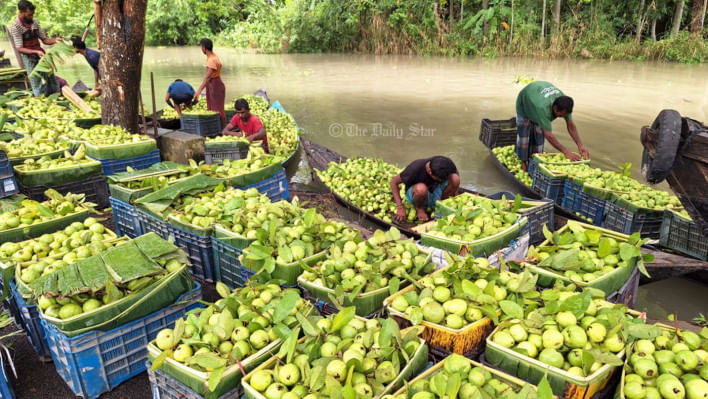 বরিশালের পেয়ারা