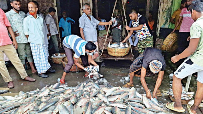 ইলিশের প্রজননক্ষেত্র