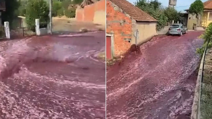 পর্তুগালের সড়কে রেড ওয়াইন ‘বন্যা’