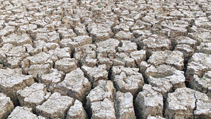 টিউবওয়েল অপারেটরদের কাছে জিম্মি বরেন্দ্র অঞ্চলের কৃষকরা