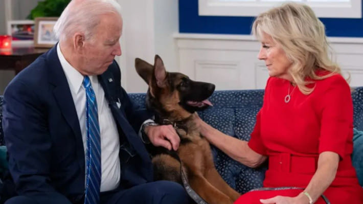 জো, জিল ও কমান্ডার বাইডেন। ছবি: এএফপি