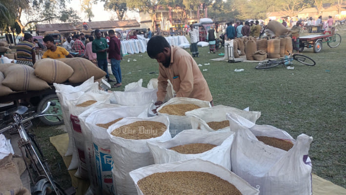 ধানের দাম