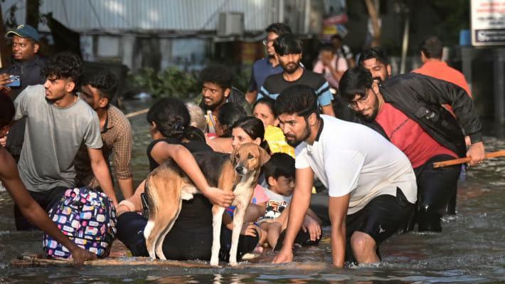 চেন্নাইতে বন্যাকবলিত মানুষ একটি ভেলার ওপর আশ্রয় নিয়েছেন। সঙ্গে একটি কুকুরকেও আশ্রয় দিয়েছেন তারা। ছবি: এএফপি