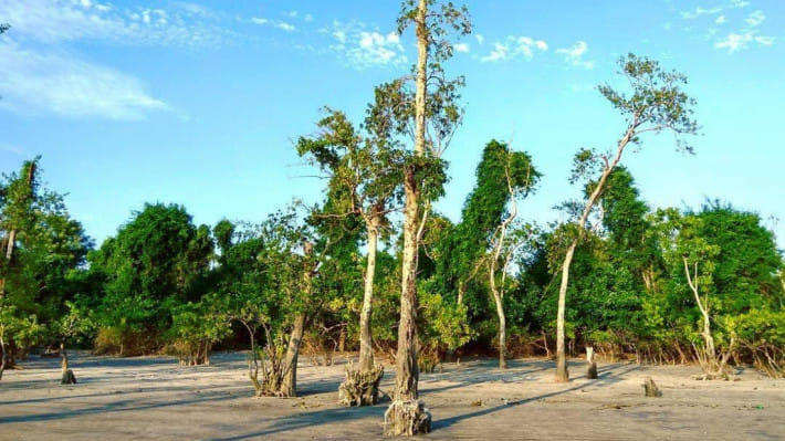 কুয়াকাটা