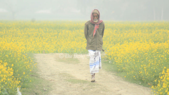 শৈত্যপ্রবাহ কাটবে, রাতের তাপমাত্রা সামান্য বাড়তে পারে