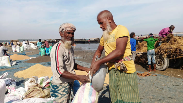 গানজিয়া