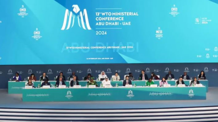 উন্নয়নশীল দেশ