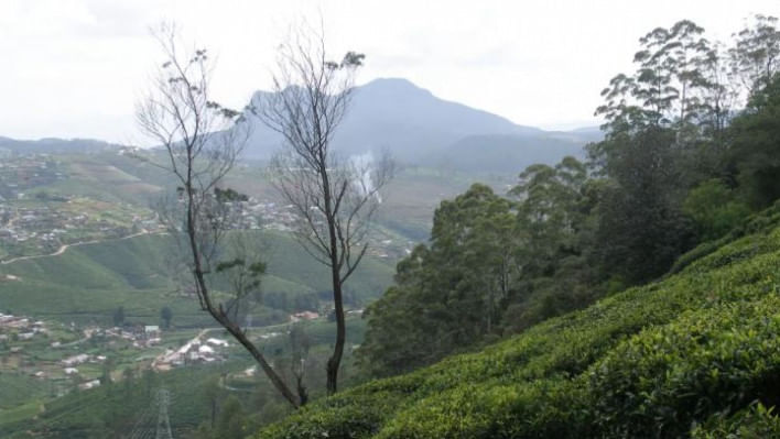 শ্রীলঙ্কা ভ্রমণ