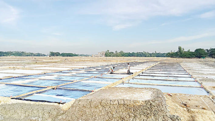 লবণ, লবণ চাষ, বাংলাদেশ ক্ষুদ্র ও কুটির শিল্প করপোরেশন, বিসিক,