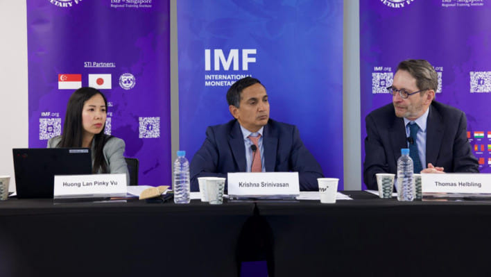 আইএমএফ, আন্তর্জাতিক মুদ্রা তহবিল, রিজার্ভ, কৃষ্ণা শ্রীনিবাসন,