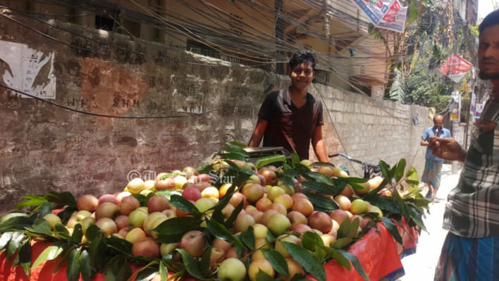 ভ্যানভর্তি আপেলের ওপর ছড়িয়ে-ছিটিয়ে রাখা পাতাগুলোকে আপেল পাতা ভাবলে ভুল হবে। ফলটা আপেল হলেও পাতাগুলো মেহেগনির।
