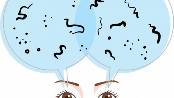 আই ফ্লোটার্স