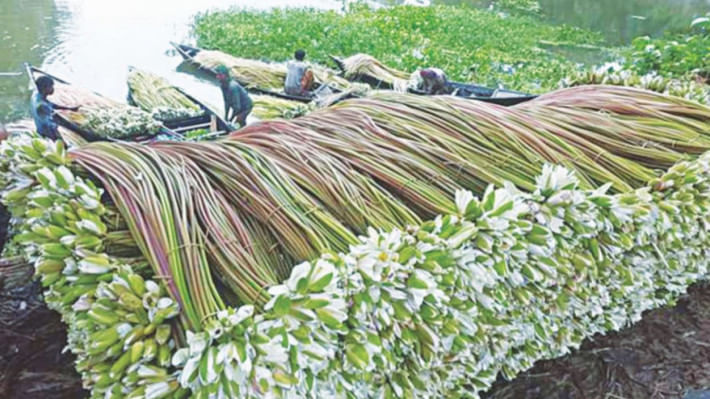 শাপলা ডাঁটার পুষ্টিগুণ