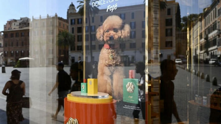 ডলচে অ্যান্ড গাবানা