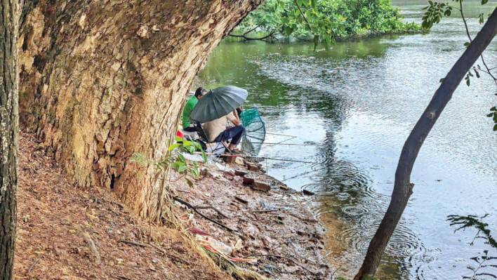 ধানমন্ডি 