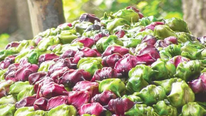 পানিফলের উপকারিতা