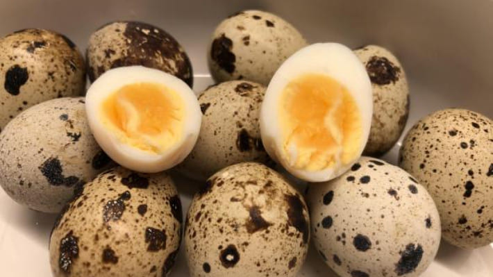 কোয়েলের ডিম