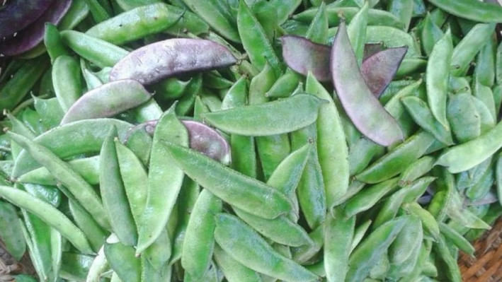 শিমের পুষ্টিগুণ