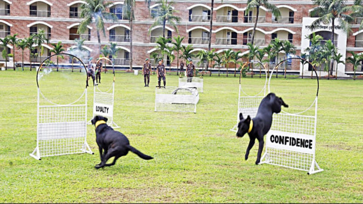 কে-৯ ইউনিটে প্রশিক্ষণরত কুকুর। ছবি: সংগৃহীত