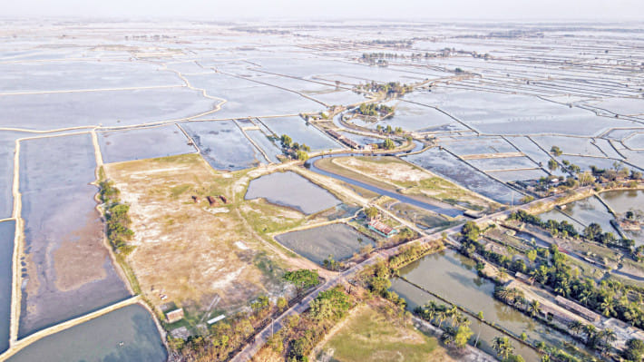খুলনার দক্ষিণ-পশ্চিমাঞ্চলে চিংড়ি ঘেরের জন্য ব্যবহৃত বিশাল ভূখণ্ডের আকাশ থেকে নেওয়া ছবি। হঠাৎ ছড়িয়ে পড়া চিংড়ির রোগে ব্যাপক ক্ষতি, লবণাক্ত পানির কারণে মাটির উর্বরতা হ্রাস ও জলবায়ু পরিবর্তনের ফলে কৃষকরা ক্রমশ চিংড়ি চাষ ছেড়ে ফসল চাষে ফিরে যাচ্ছেন। ছবি
