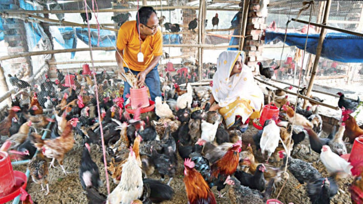 পোল্ট্রি খাতে ঋণ