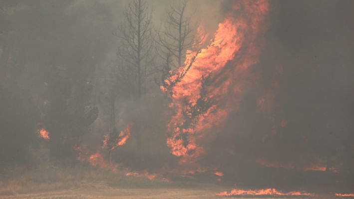ইসরায়েলের মধ্যাঞ্চলের বেত শেমেশ শহরে ছড়িয়ে পড়েছে দাবানল। ছবি: এএফপি