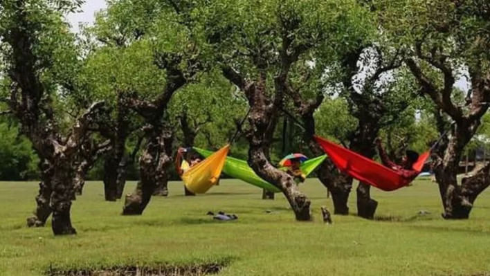 বরগুনার নিদ্রা সৈকত