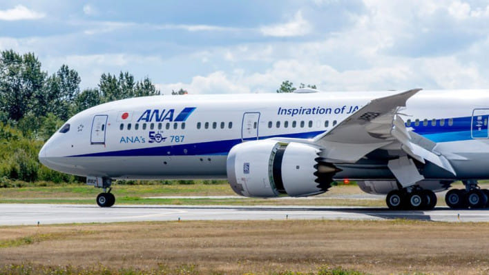 অল নিপ্পন এয়ারওয়েজের ফ্লাইট। ফাইল ছবি: সংগৃহীত
