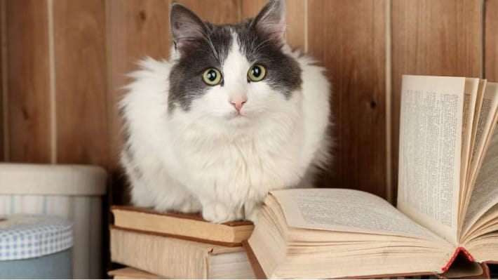 প্রতীকী ছবি: সংগৃহীত