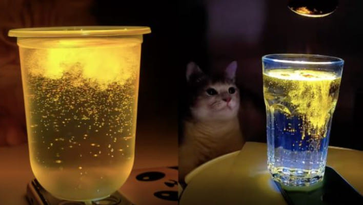 অনলাইন ট্রেন্ড