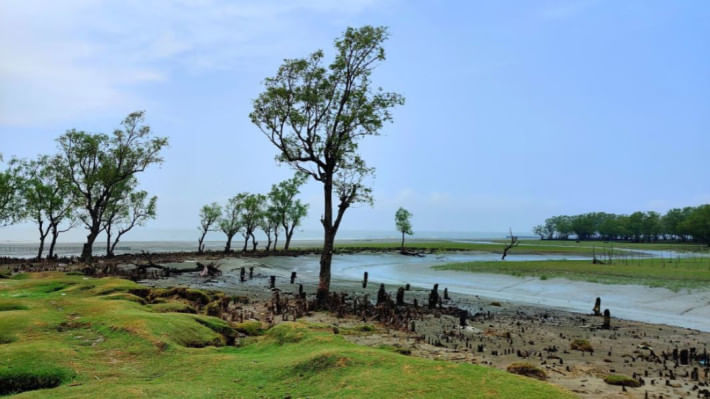 গুলিয়াখালী
