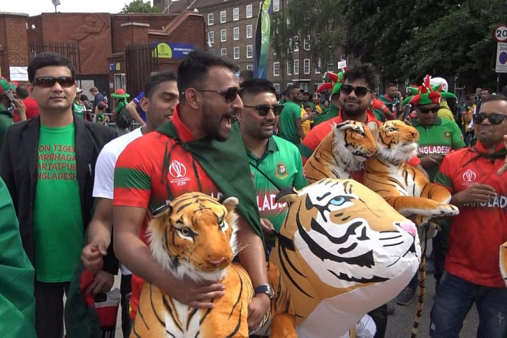 Tiger Fan Tiger Fan