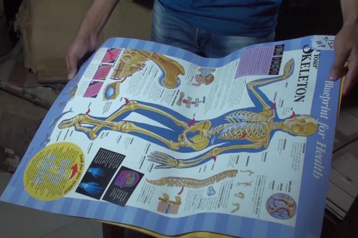 Anatomical-Chart.jpg Anatomical-Chart.jpg