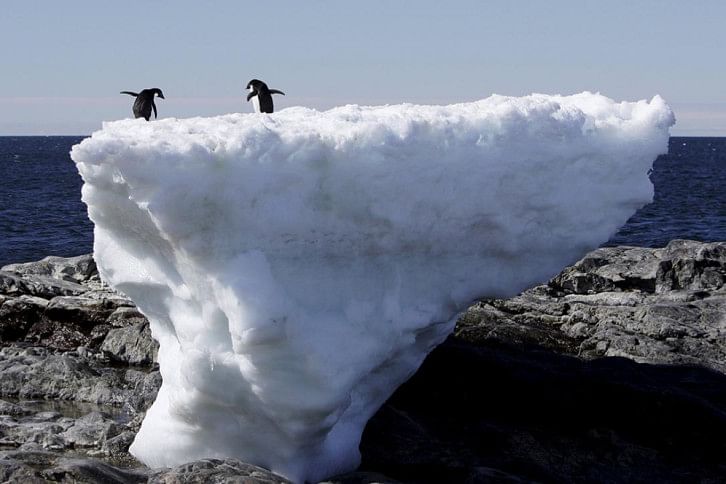 antarctic antarctic