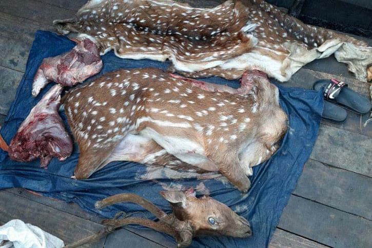 Bagerhat Deer.jpg Bagerhat Deer.jpg
