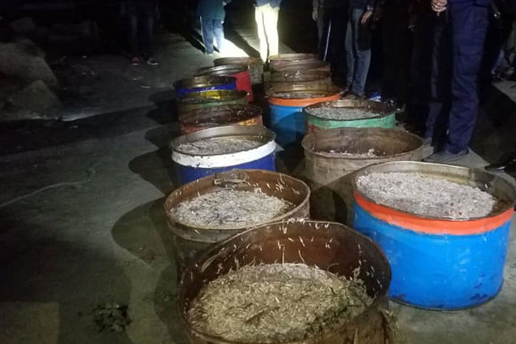 Fish Seize Fish Seize
