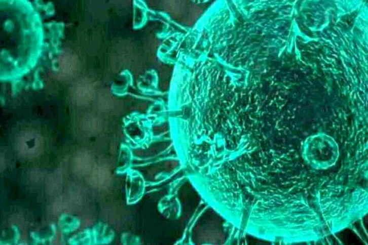 Coronavirus Coronavirus