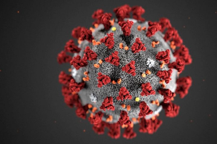 coronavirus coronavirus