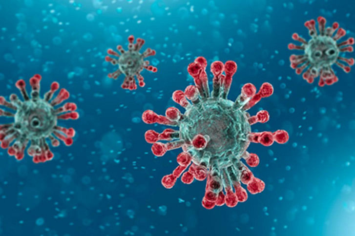 coronavirus coronavirus